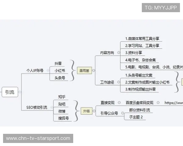 NBA球队官方内容矩阵引粉效率显著提升