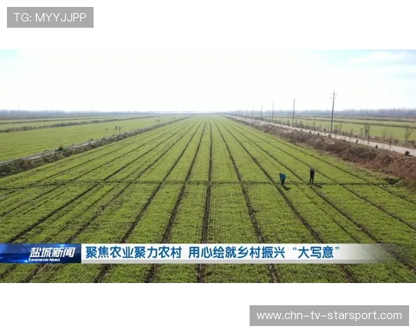 体育新闻中心聚焦农村体育发展创新路径传播,发展农村体育助力乡村振兴 体育新闻中心聚焦农村体育发展创新路径传播,发展农村体育助力乡村振兴