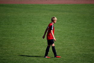 星空体育app-中国足球职业俱乐部球员转会市场活跃度提升，中国足球协会球员身份与转会管理规定